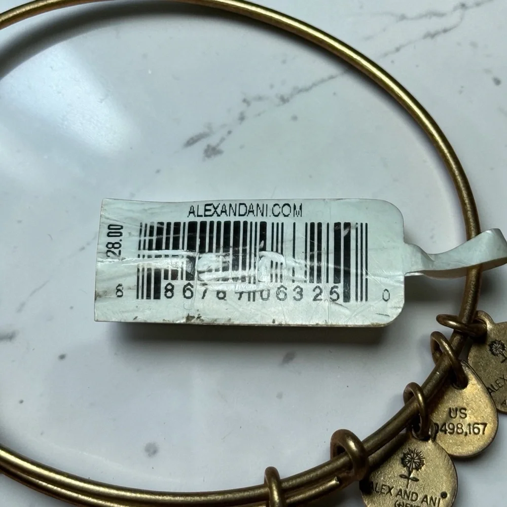 Alex and Ani “Because I Love‎ You Sister” Rafaelian Gold Expandable Charm Bangle